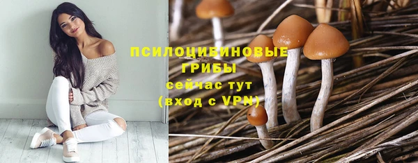 марки nbome Аркадак