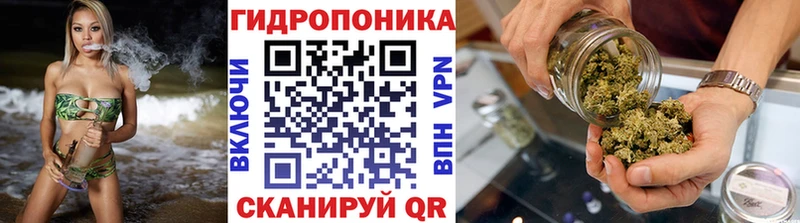 где купить   гидра рабочий сайт  Канабис план  Тимашёвск 
